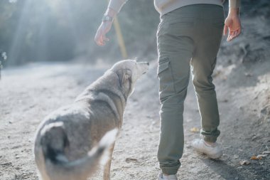 Man caressing his dog while hiking, walking on a trail in the mountains. clipart