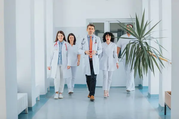 Confident doctors walking in hospital hall. Group of professionals in medical uniforms.