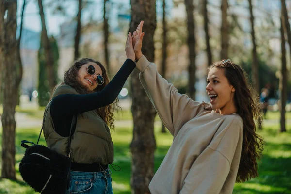 Two smiley, overjoyed female friends giving high five each other after their opinions coincided