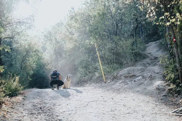 Young Male Hiker Enjoying Hiking Mountains Walking Trail His Dog — Stock Photo, Image