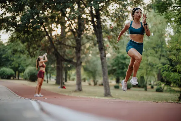 スポーツ服の女の子は緑の公園で屋外でジョギングします 彼らの動機づけられた表現は 健康的なライフスタイルを刺激し 自然の美しさとアクティブな運動ルーチンの利点を示しています — ストック写真
