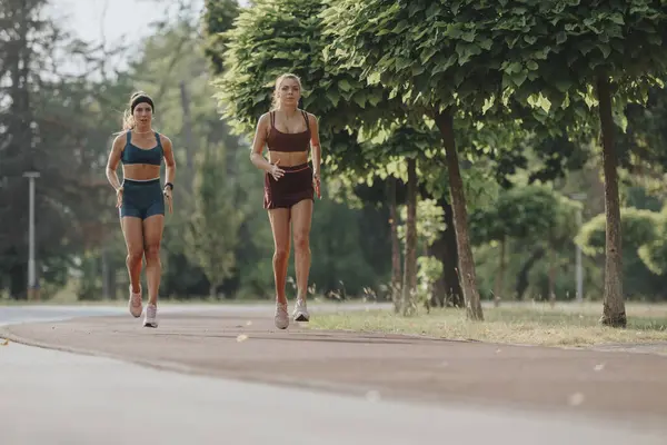 自然の中で屋外でジョギングするフィットガール 公園で運動する友人たち 運動体 健康的なライフスタイル — ストック写真
