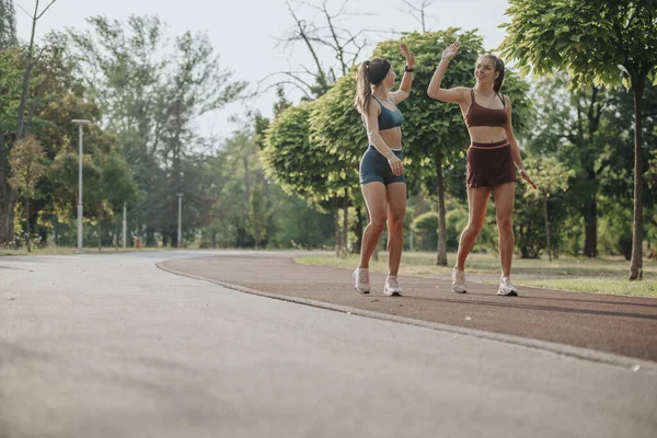 Fit Vrouwen Joggen Samen Natuur Voor Outdoor Fitness Training — Stockfoto