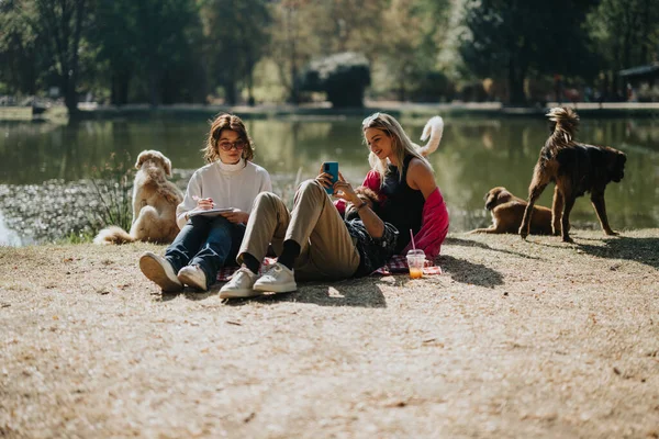 在公园度过快乐的周末 朋友们放松一下 和狗狗们一起享受大自然吧 — 图库照片