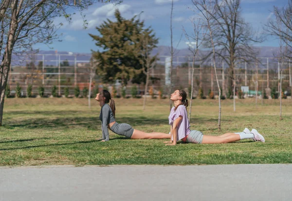 Fit Verführerische Sportlerinnen Die Einem Sonnigen Tag Park Trainieren — Stockfoto