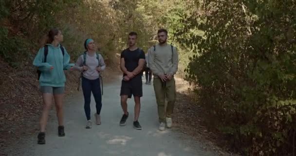 Sporcular Dağda Bir Patikada Yürüyorlar Güneşli Bir Sonbahar Gününde Yürüyüş — Stok video