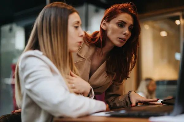 Female Business Partners Collaborating Coffee Bar Discussing Business Strategies Data — Stock Photo, Image
