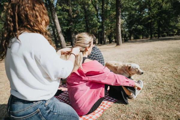 朋友和他们的狗在公园里度过了无忧无虑的一天 他们享受彼此的陪伴 被大自然包围着 在绿色环境中完美的周末活动 — 图库照片