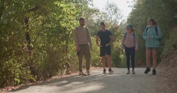 四个徒步旅行的朋友在山里的小径上或土路上散步 在阳光灿烂的日子里享受着一天的休息 享受着美丽的绿色自然环境 一边聊天 一边讨论着不同的话题 — 图库视频影像