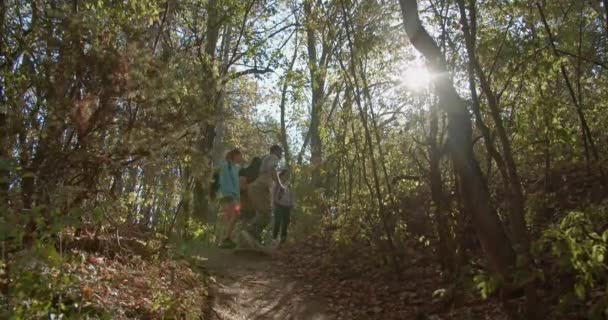 アクティブな友人が山の荒野でハイキングし 新鮮な空気と運動を楽しんでいます スポーツウェアで服を着て 彼らは一緒にこの緑の環境を探索する楽しいを持っています — ストック動画