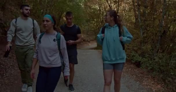年轻的 运动的夫妇走在山路上 他们正在进行有趣的谈话 讨论随意的话题 微笑着 好好享受假期吧 — 图库视频影像