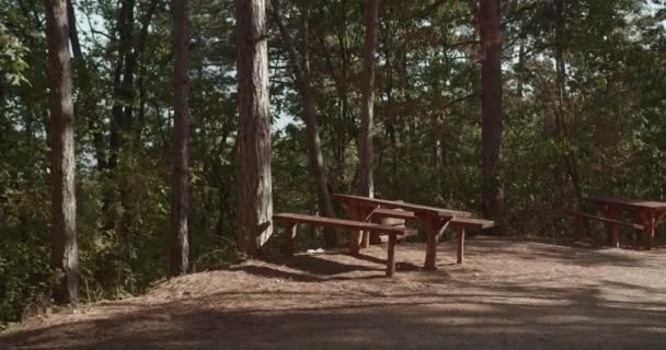 Une Vidéo Vieux Parc Montagne Avec Des Bancs Bois Des — Video