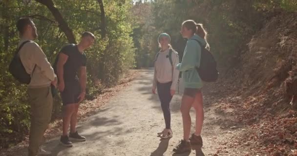 Τέσσερις Φίλοι Άντρες Και Γυναίκες Στέκονται Ένα Μονοπάτι Στα Βουνά — Αρχείο Βίντεο