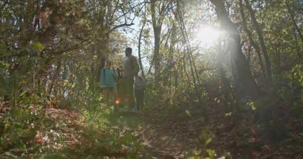 Amigos Felizes Desfrutando Uma Caminhada Aventureira Através Uma Floresta Cênica — Vídeo de Stock