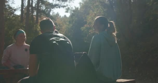 Група Друзів Які Гуляють Горах Насолоджуючись Сонячним Днем Лісі Вони — стокове відео