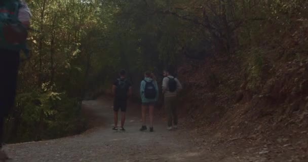 Троє Спортивних Друзів Ходять Через Густий Ліс Спілкуються Дівчина Друг — стокове відео