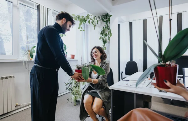 オフィスデスクに座っている幸せな女性にポット植物を渡すビジネスカジュアルな衣装のひげ付き男 — ストック写真