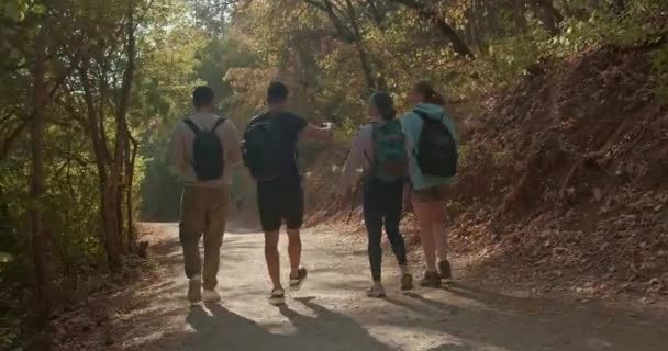 运动的朋友们在秋天的荒野里享受着阳光灿烂的一天的徒步旅行 他们在绿树成荫的环境中露营 锻炼身体和进行有趣的交谈 健康快乐 他们一起探索自然 — 图库视频影像