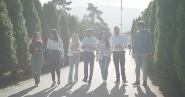 Universitätsstudenten Genießen Einen Gemütlichen Spaziergang Einem Sonnenbeschienenen Park Dem Sie — Stockvideo