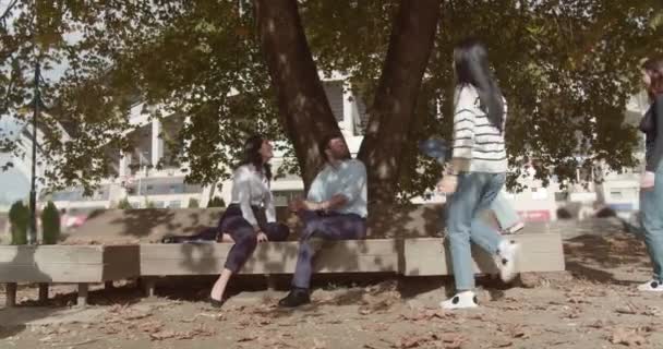 Twee Faculteitsstudenten Voeren Het Examen Een Discussie Een Zonnig Park — Stockvideo