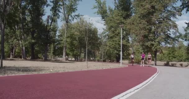 나무로 둘러싸인 트랙에서 스포티 공원에서 스포츠 — 비디오