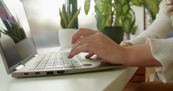 一位年轻的女员工坐在靠窗的一个装饰着室内植物的现代书桌上 专心致志地工作 在膝盖上写字 — 图库视频影像
