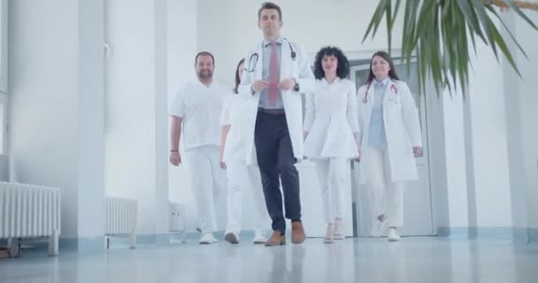 Medicinsk Personal Team Läkare Och Specialist Promenader Modern Solljus Hall — Stockvideo