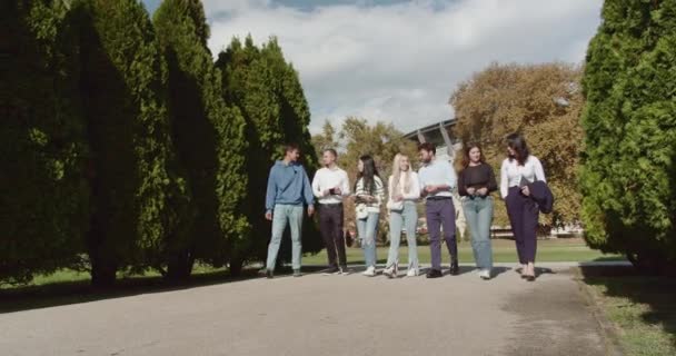 Die Schüler Genießen Einen Sonnigen Tag Park Plaudern Über Die — Stockvideo