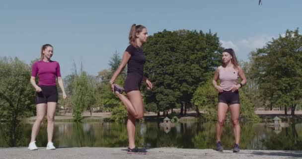 활발하고 건강한 라이프 스타일을 반영하는 환경에서 스트레칭 루틴에 종사하는 — 비디오