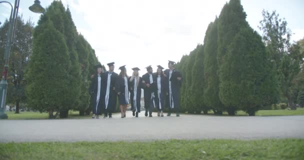 卒業式の日には キャップとガウンで寄付された歓喜の大学卒業生は 陽気な公園で喜んで祝い 空中にモルタルボードを高く投げることによって機会をマークします — ストック動画