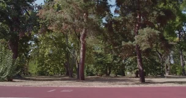 在风景秀丽的城市公园里练习手推车的健康 活泼的女人 体现了健康和户外运动 — 图库视频影像