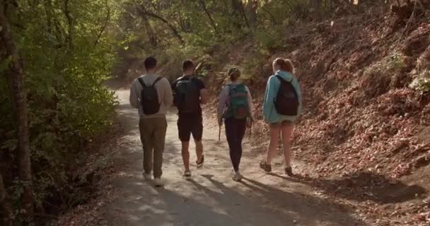 Los Amigos Caminan Paisaje Montaña Boscosa Disfrutando Día Soleado Discuten — Vídeo de stock
