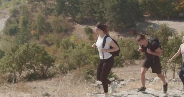 Athletic Friends Enjoy Hiking Sunny Day Forest Breathe Fresh Air — Stock Video