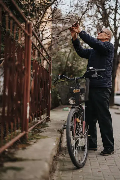 Aktif Gözlüklü Yaşlı Bir Adam Bisiklet Sürmeyi Bırakıp Kaldırımdaki Ağaç — Stok fotoğraf