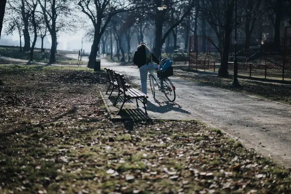 A lone individual walks with their bike on a serene path in a park, surrounded by autumn leaves and empty benches.
