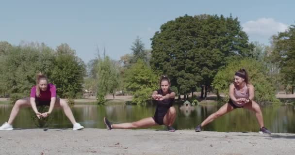 화창한 공원에서 조용한 호수에 스트레칭 피트니스 세션을 즐기는 — 비디오
