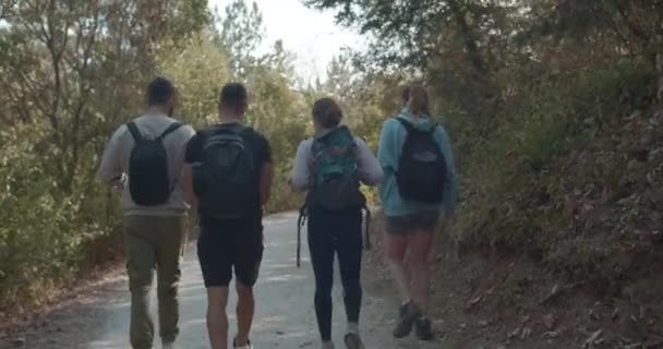 Gli Amici Attivi Camminano Attraverso Una Vivace Foresta Autunnale Impegnandosi — Video Stock