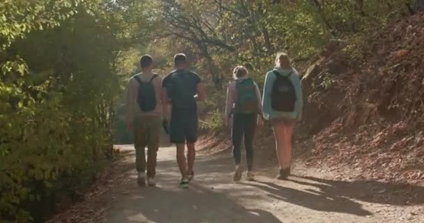 Weekend Avontuur Vrienden Wandelen Herfst Wildernis Wandelen Een Pad Een — Stockvideo