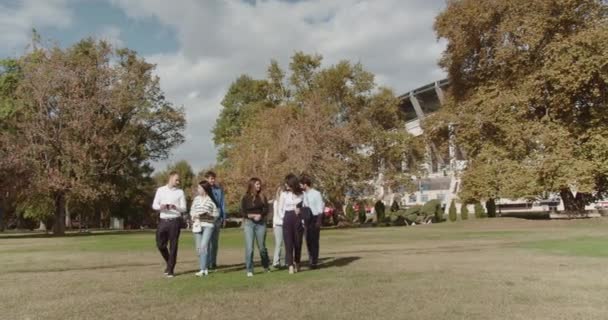 Estudantes Universitários Alegres Passeiam Por Parque Cênico Discutindo Animadamente Vários — Vídeo de Stock