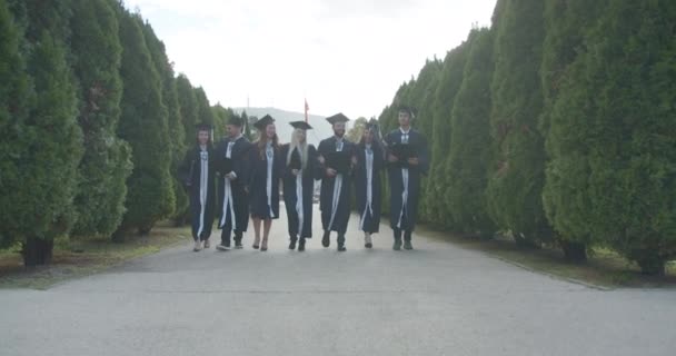 在毕业典礼上 戴着帽子和长袍的快乐的大学毕业生们高高地把自己的黑板扔在阳光灿烂的公园里 庆祝毕业 — 图库视频影像