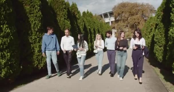 Різноманітна Група Студентів Університету Випадково Ходить Розмовляє Парку Сонячний День — стокове відео