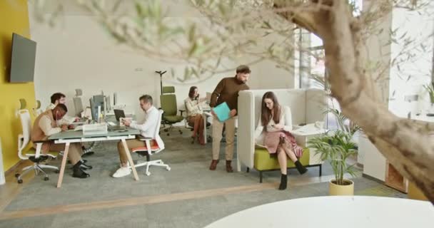コンテンポラリーなオフィス環境で ラップトップに取り組む多様なプロフェッショナルと屋内緑に囲まれたプロジェクトを議論 — ストック動画