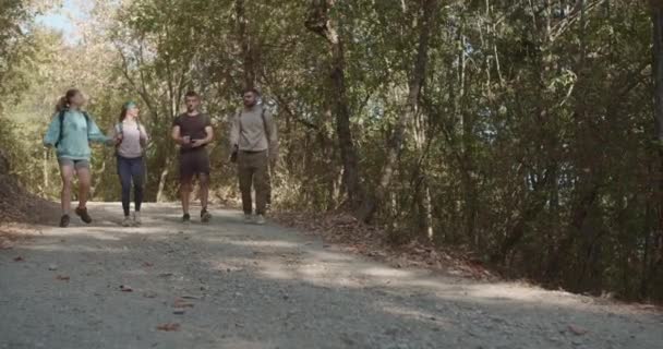 Four Sports Enthusiasts Walking Trail Mountains Enjoying Beautiful Sunny Day — Stock Video