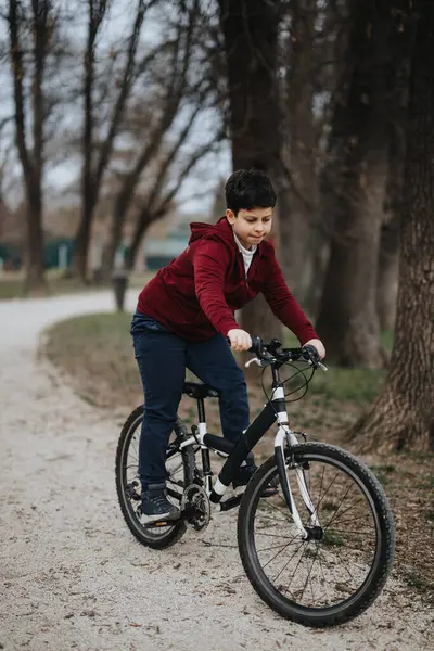 Niño Joven Activo Montado Alegremente Bicicleta Sendero Del Parque Capturando Imagen de archivo