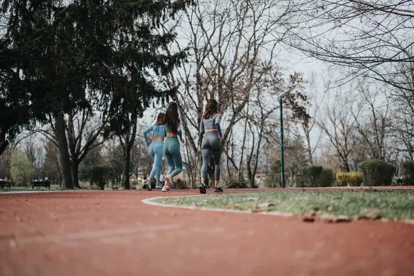 Вид Сзади Двух Женщин Спортивной Одежде Наслаждающихся Пробежкой Тропинке Окруженной — стоковое фото
