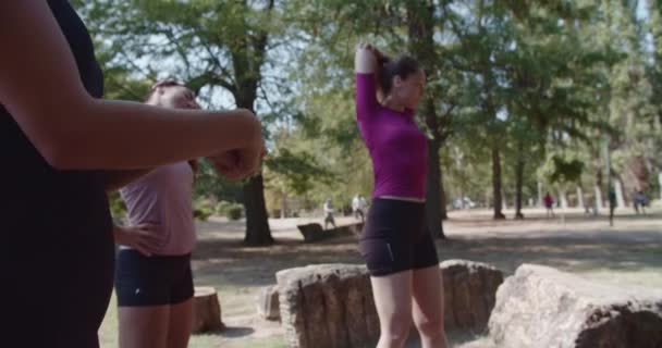Три Женщины Тренировочной Одежде Растянувшись Парке Акцентом Здоровье Фитнес Открытом — стоковое видео