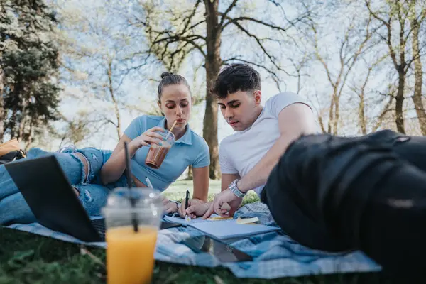 High School Students Engaging Study Sessions Outdoors Aiding Each Other — Stock Photo, Image