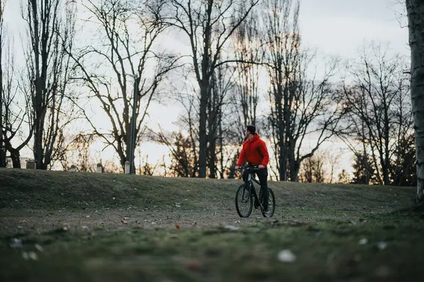 Joven Relajado Bicicleta Través Parque Sereno Con Árboles Desnudos Sol Imagen de archivo