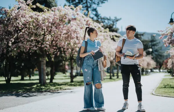 Два Молодых Студента Рюкзаками Учатся Обсуждают Заметки Солнечном Городском Парке — стоковое фото