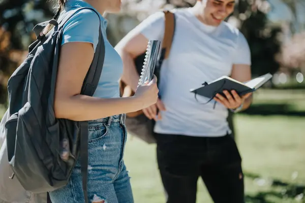 两个背着背包的年轻学生下课后一起在一个阳光灿烂的公园里学习 交流想法和笔记 — 图库照片
